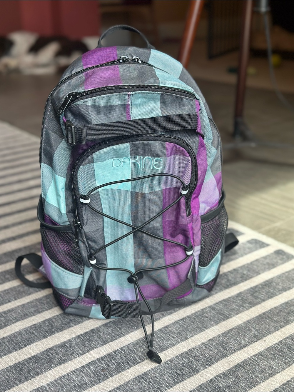 Dakine Teal and Purple Checkered Daypack